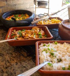 Área de alimentação -01