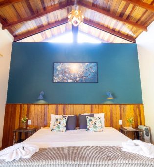 Quarto Luxo - Canarinho da Terra e Sabiá Laranjeira 2