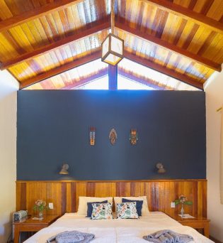 Quarto Luxo - Canarinho da Terra e Sabiá Laranjeira 7